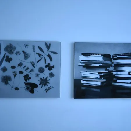 Art-hotel Robert Mayer 3* 美因河畔法兰克福