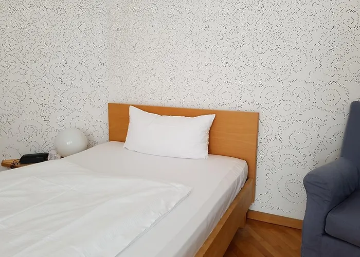 Hotel Art-hotel Robert Mayer 3*