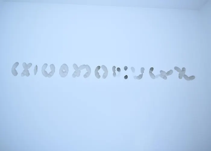 Art-hotel Robert Mayer ホテル