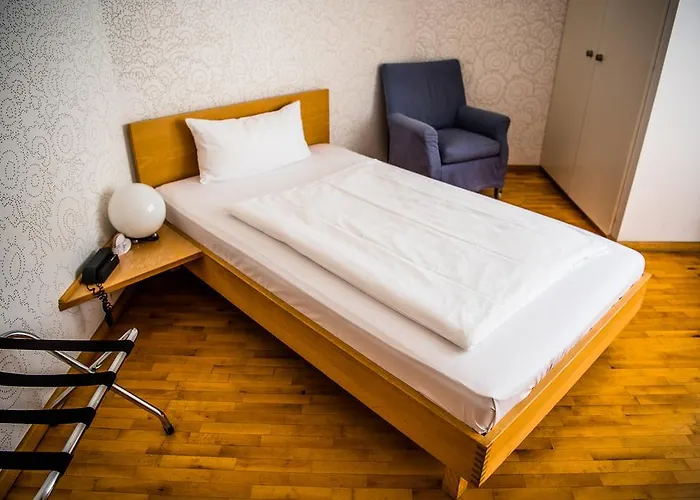 מלון Art-hotel Robert Mayer 3*