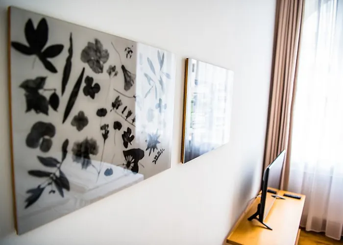 Art-hotel Robert Mayer מלון