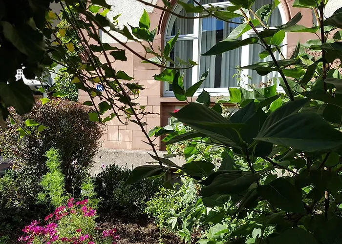 ホテル Art-hotel Robert Mayer