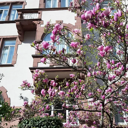 Art-hotel Robert Mayer