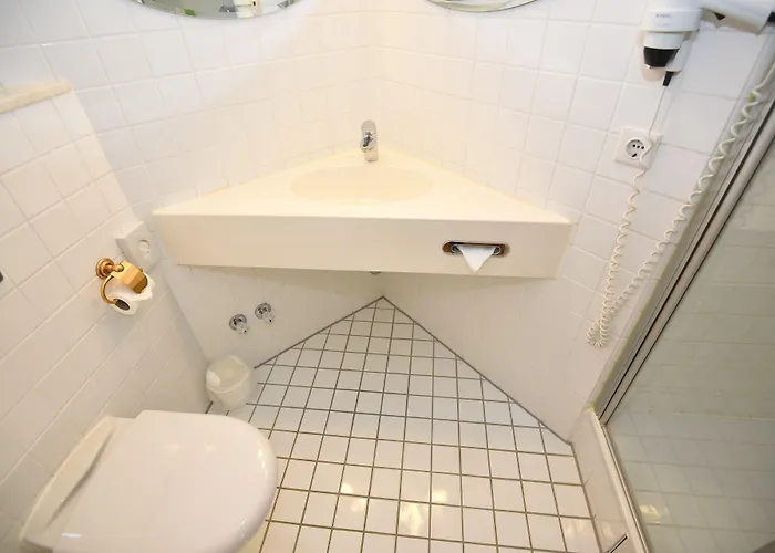 Отель Art-hotel Robert Mayer