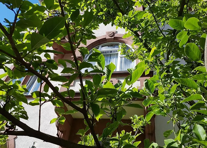 Art-hotel Robert Mayer Отель Франкфурт-на-Майне