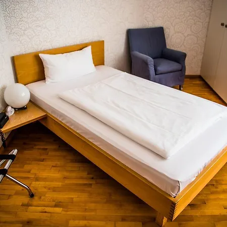 فندق Art-hotel Robert Mayer 3*